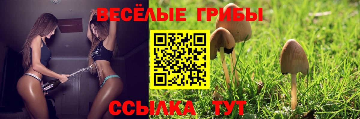 Кимры  Галлюциногенные грибы GOLDEN TEACHER  Псилоцибиновые грибы Magic Shrooms  Вход с VPN 